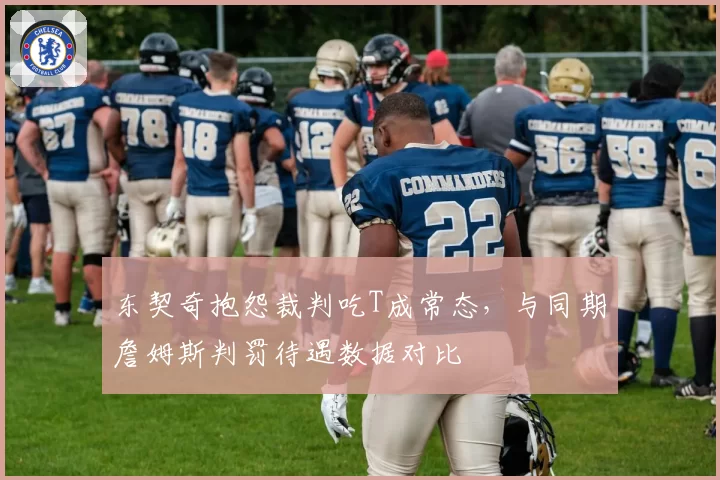 东契奇抱怨裁判吃T成常态,与同期詹姆斯判罚待遇数据对比
